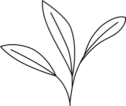 220x211px_miljo_blomma
